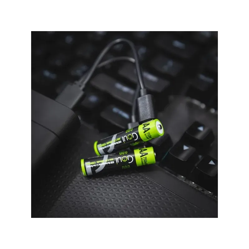 GOUI PILE RECHARGEABLE AAA BATTERIE (2PCS) Noir
