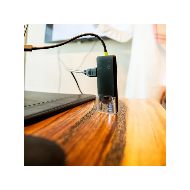 GOUI HUB 7 EN 1 100W SUPER RAPIDE