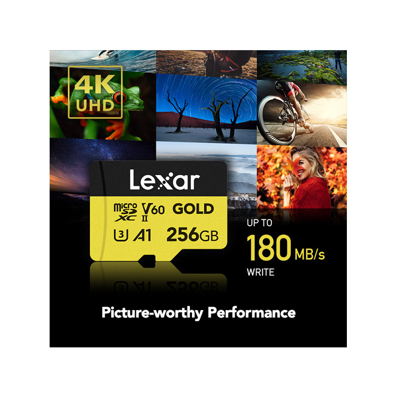 LEXAR PROFESSIONAL GOLD UHS-II microSDXC 256GB