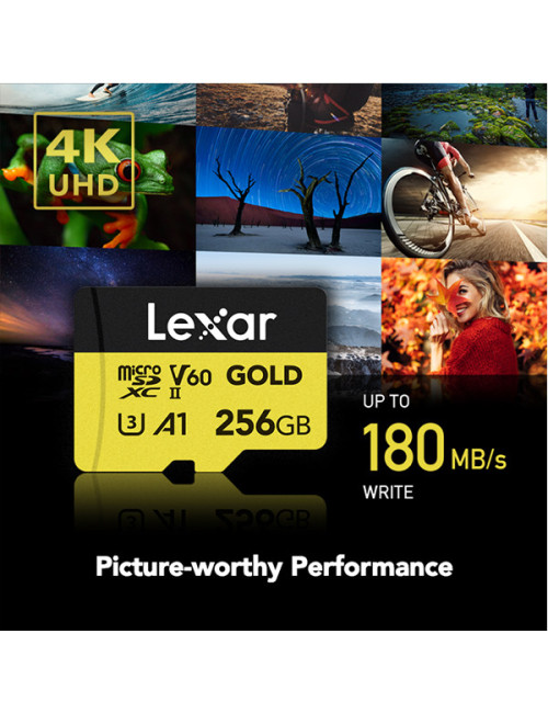 LEXAR PROFESSIONAL GOLD UHS-II microSDXC 256GB