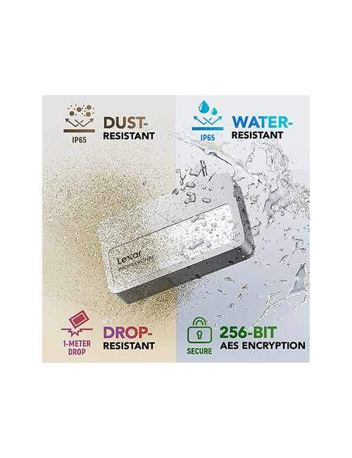 LEXAR 2TB PROFESSIONAL Go PORTABLE SSD avec HUB Gris