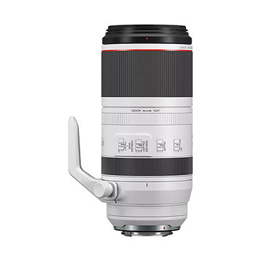 CANON RF 100-500mm F/4.5-7.1 L IS USM