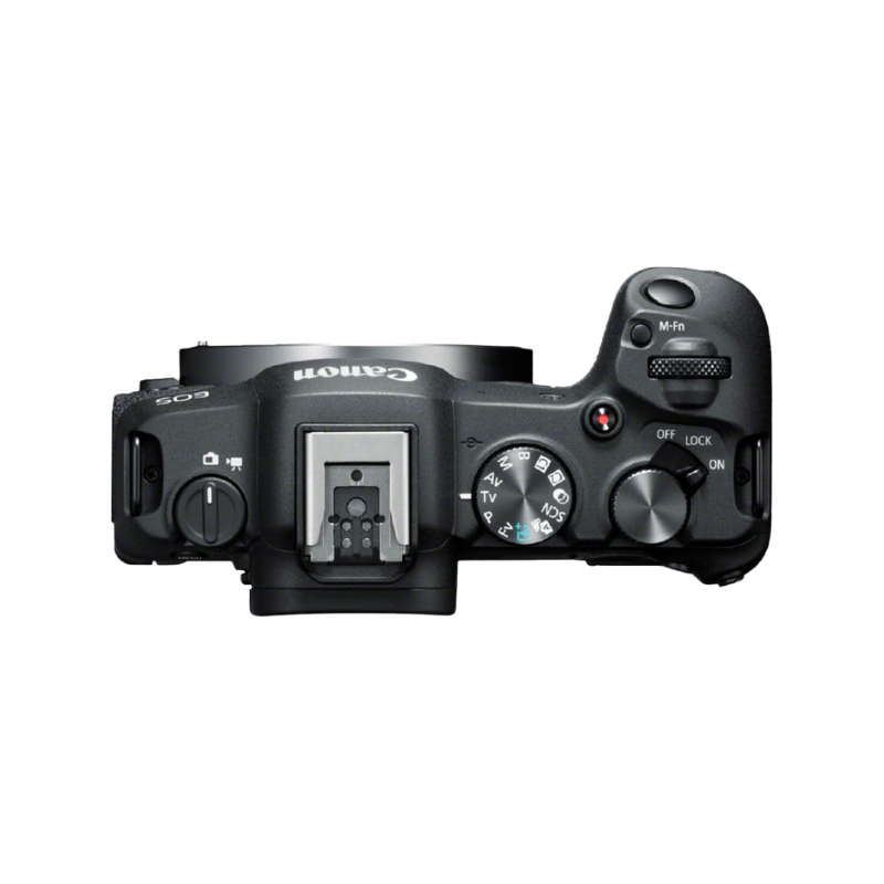 CANON EOS R8 + RF 24-105mm f/4-7.1 IS STM