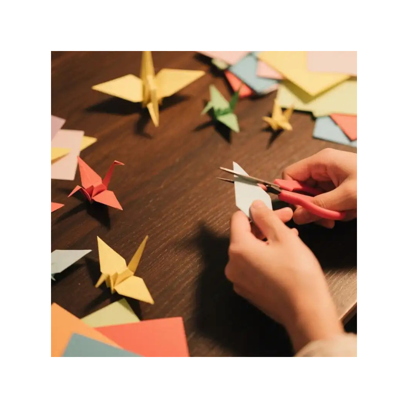 KODAK PAPIER COULEUR PACK 100 FEUILLES 80G