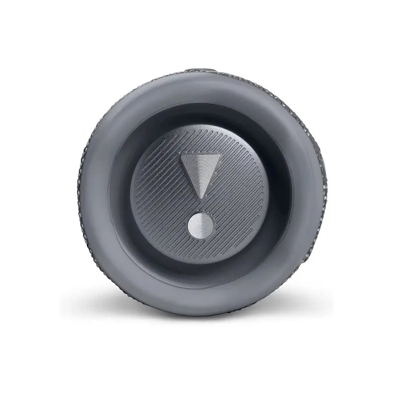 JBL Flip 6 Gris