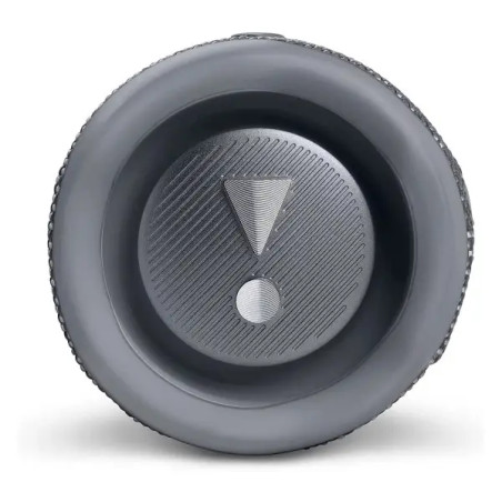 JBL Flip 6 Gray