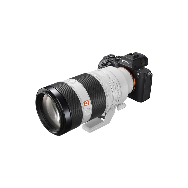 SONY FE 100-400mm f/4.5-5.6 GM OSS (SEL100400GM)