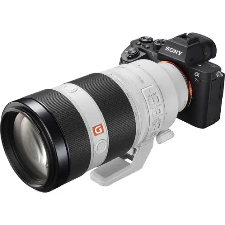 SONY FE 100-400mm f/4.5-5.6 GM OSS (SEL100400GM)
